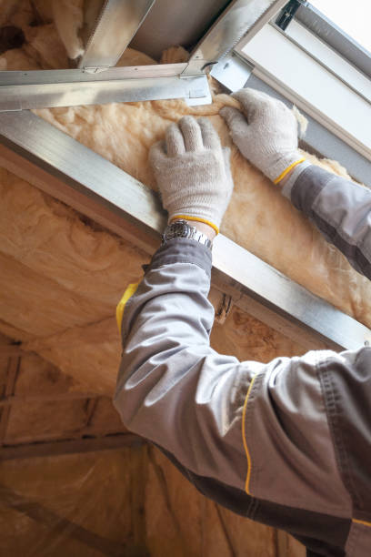 Best Insulation Replacement Services  in China Grove, TX