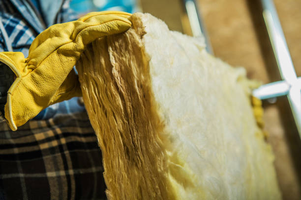 Best Attic Insulation Installation  in China Grove, TX