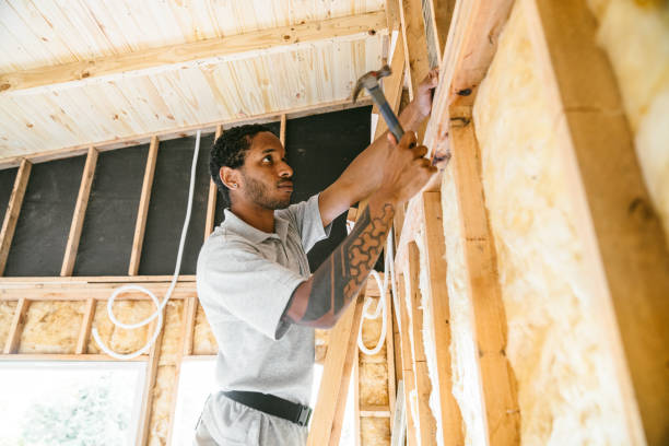 Best Cellulose Insulation  in China Grove, TX