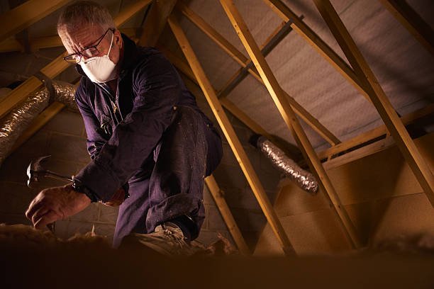 Best Insulation Contractor Near Me  in China Grove, TX