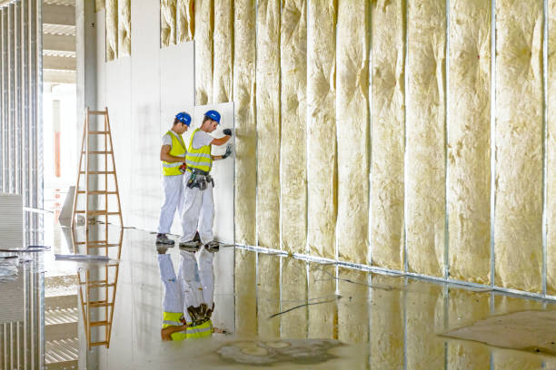 Insulation Repair Services in China Grove, TX